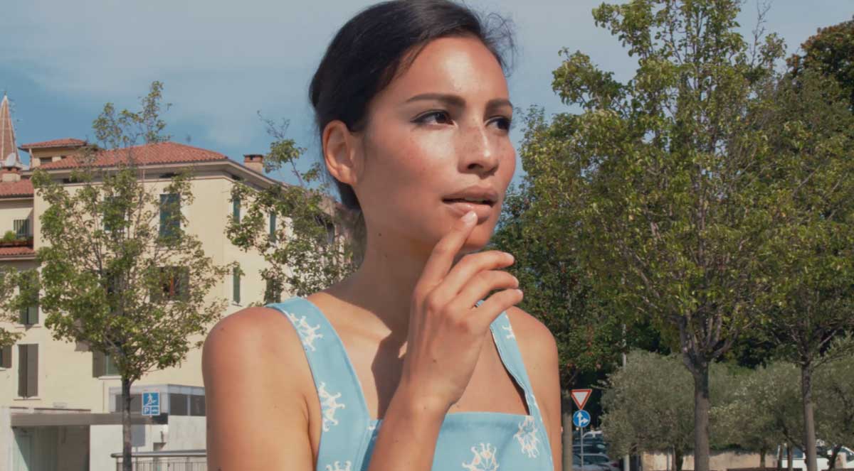 Pink Flamingos Story